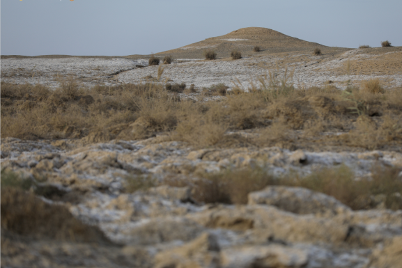 蘇州金牛隊戈壁行5 蘇州金牛隊戈壁行5